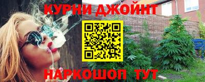 гашик Ливны