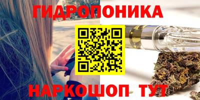 гашик Ливны