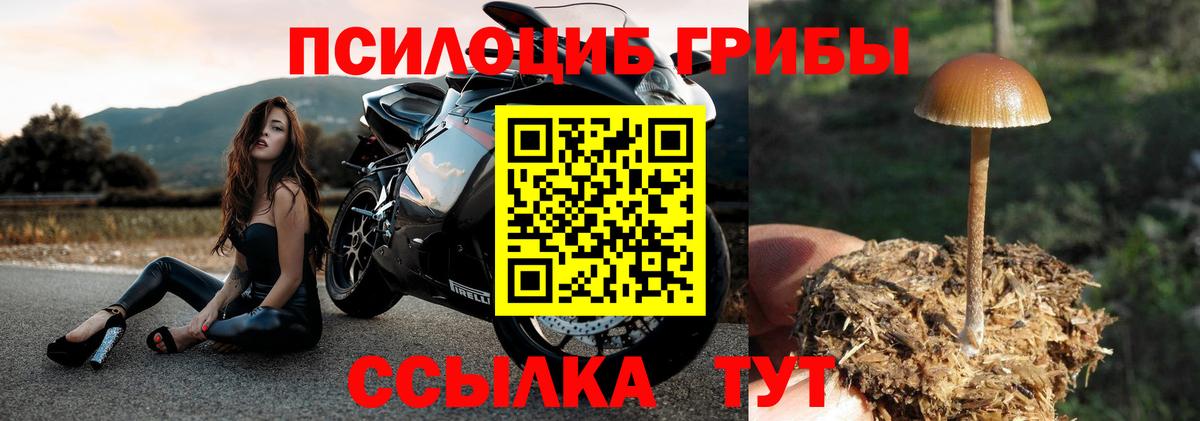 Псилоцибиновые грибы мицелий Калач-на-Дону